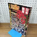 1_　日本発見 祭り 6 210457