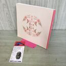 1_　智恵子 その愛と光彩 高村光太郎の彫刻と智恵子の紙絵展 半チケ付き 001120