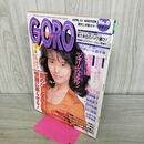 1_　GORO ゴロー 南野陽子 1991年 平成3年 4月11日 001069
