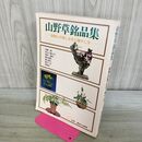 1_　山野草銘品集 鉢植えの楽しみ方と殖やし方 230480