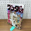 1_　スーパーサイエンスマガジン ワンダーライフ 第17号 小学館スペシャル 1991年5月号 平成3年 280339