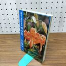 1_　野の花　原色・自然の手帖 佐竹義輔 010327