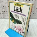 1_　自然読本 昆虫 020157