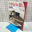1_　週刊 やきものを楽しむ 14 2003年 平成15年 8月 26日 020266