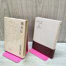 1_　溺女伝 岩田専太郎 020484