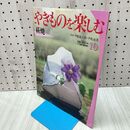 1_　週刊 やきものを楽しむ 10 2003年 平成15年 7月 22日 020259