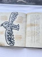 よだかの星