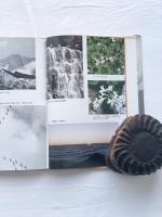 わたしの山旅 賢治と石と花と