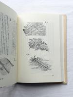 鮎　ものと人間の文化史