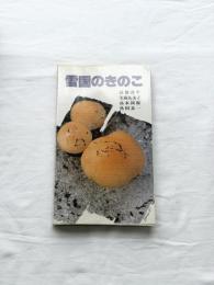 雪国きのこ