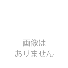 大学生の作文・論文の基礎